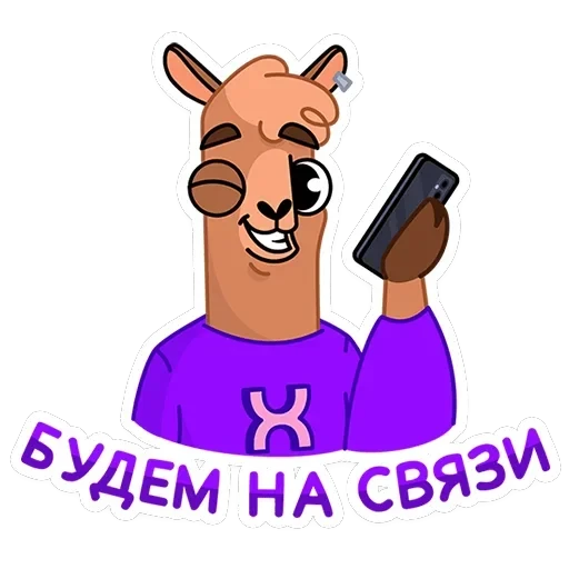 Альпака Халви — 21