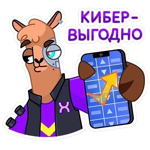 Альпака Халви — 22