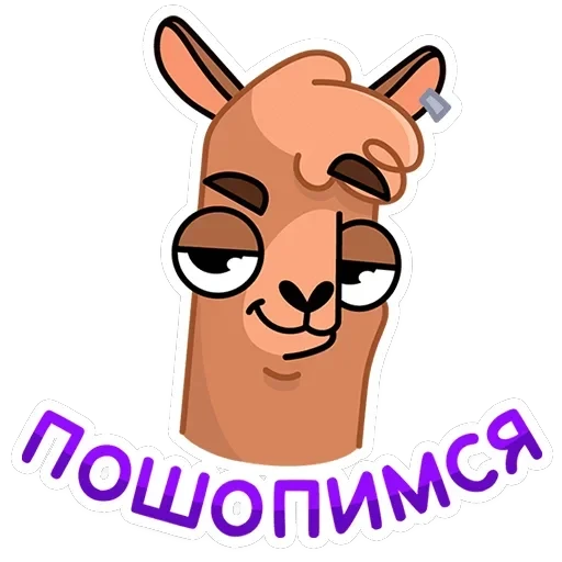 Альпака Халви — 6