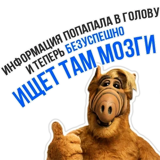 Alpha — 17