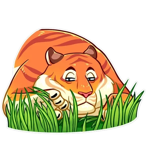 Amur Tiger — 21