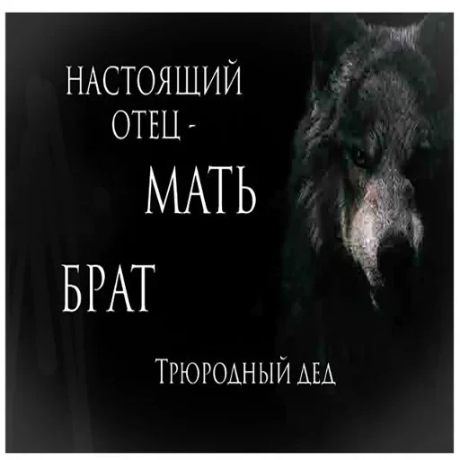 Антицирк — 2