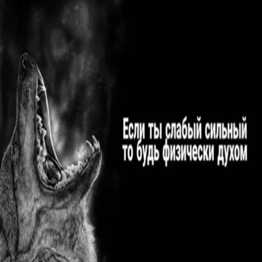 Антицирк — 13