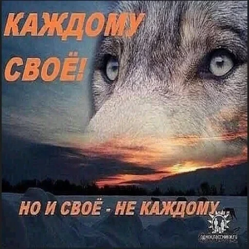 Антицирк — 16