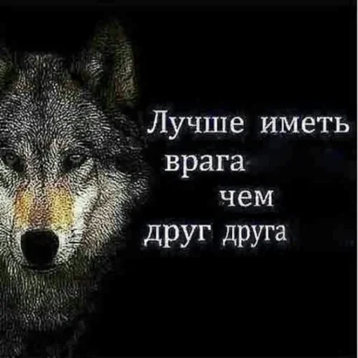 Антицирк — 17