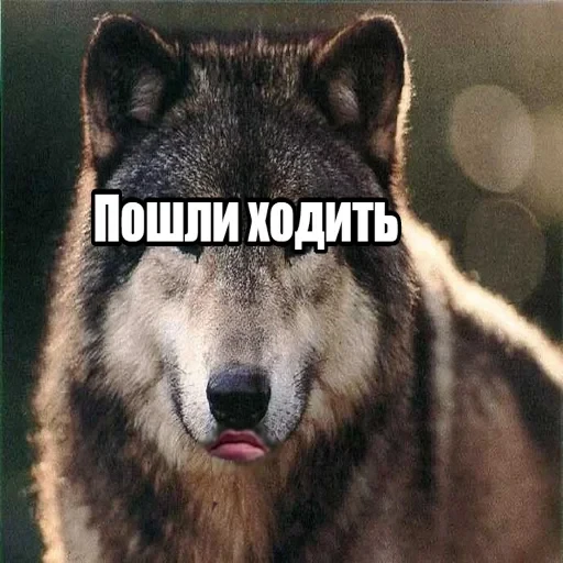 Антицирк — 18