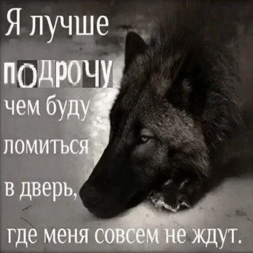 Антицирк — 19