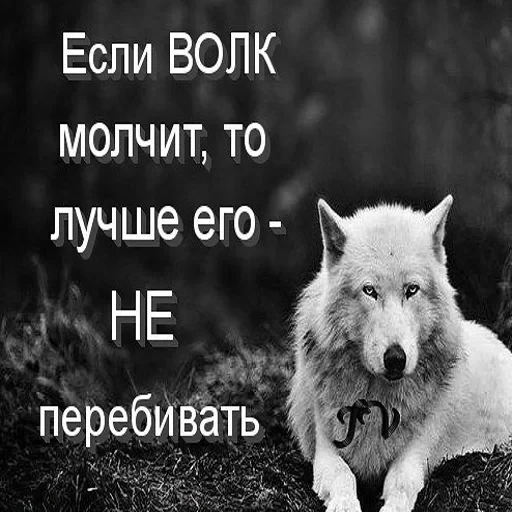 Антицирк — 20