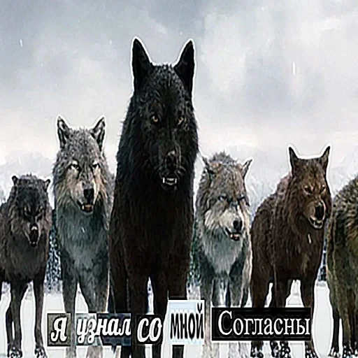 Антицирк — 3