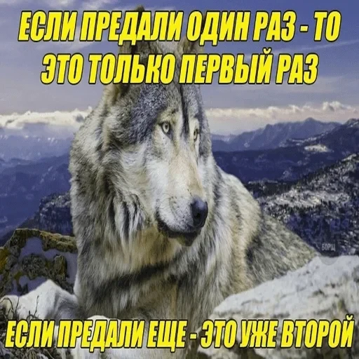 Антицирк — 21
