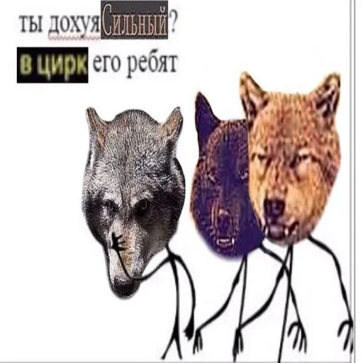 Антицирк — 5