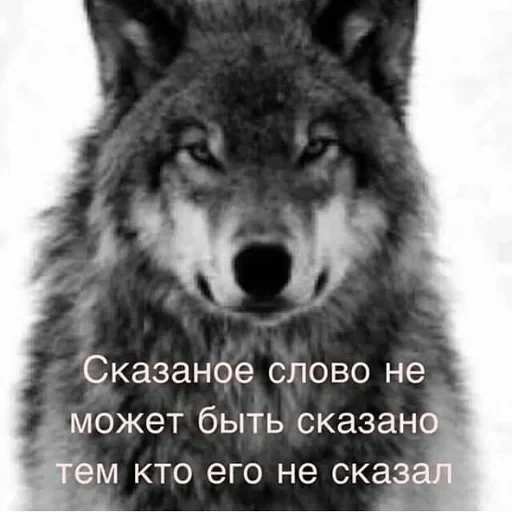 Антицирк — 8