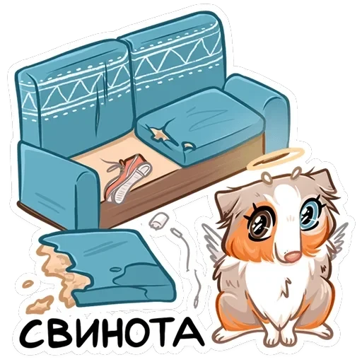 Аусси Раф — 36