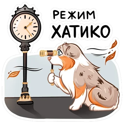Аусси Раф — 47
