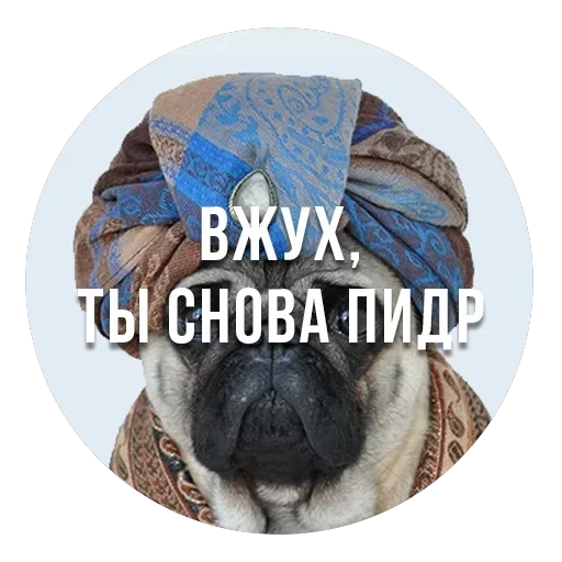 bad pugs — 2