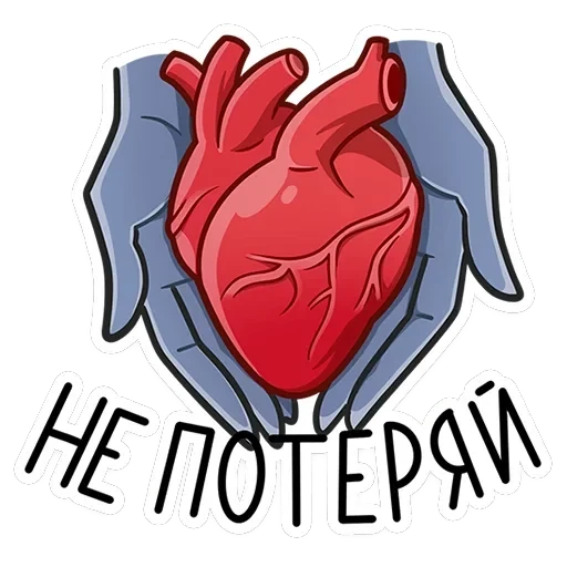 Бастет — 12