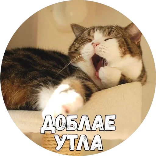 Байной? — 1
