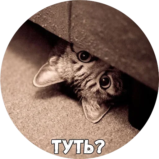 Байной? — 2