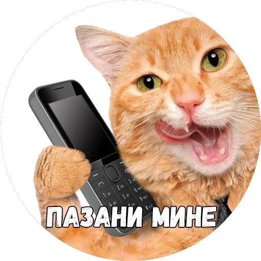 Байной? — 12