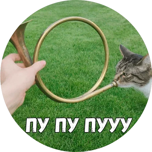 Байной? — 13