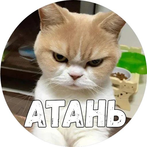 Байной? — 15