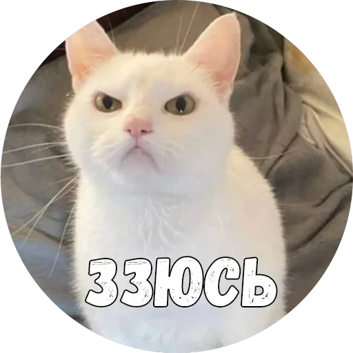 Байной? — 16