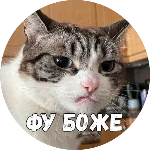 Байной? — 17