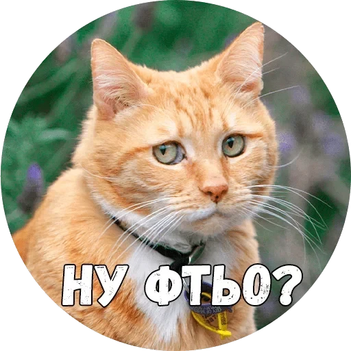 Байной? — 18