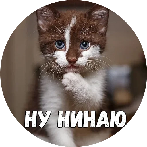 Байной? — 19