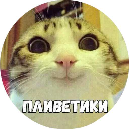 Байной? — 3