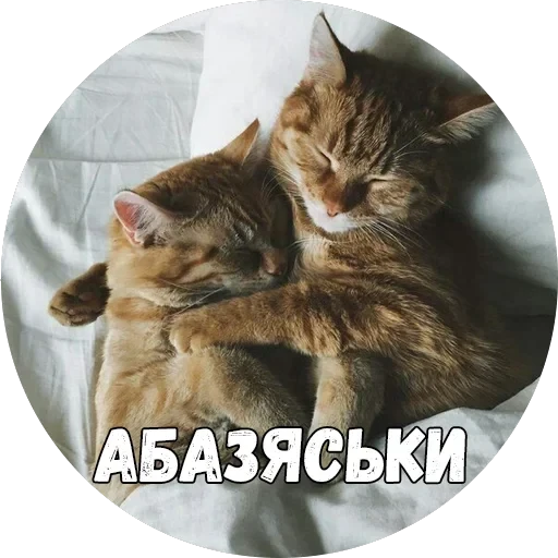 Байной? — 21