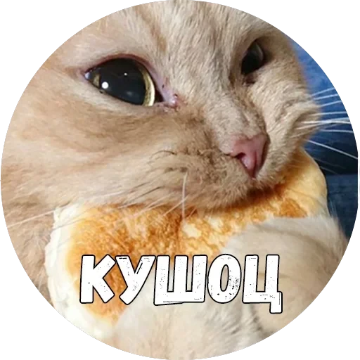 Байной? — 22