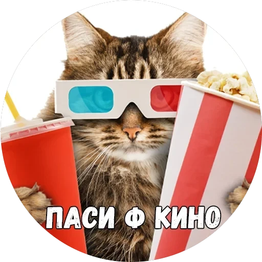 Байной? — 23