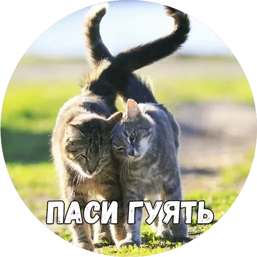 Байной? — 24