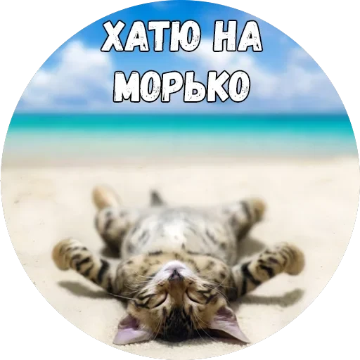 Байной? — 25