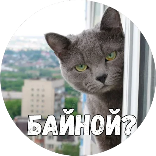 Байной? — 27