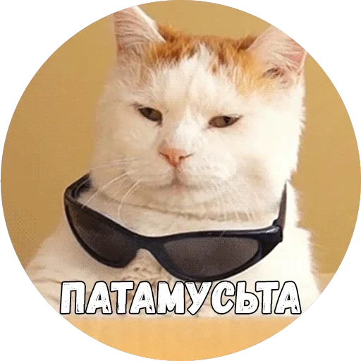 Байной? — 29