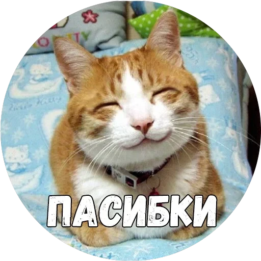 Байной? — 30