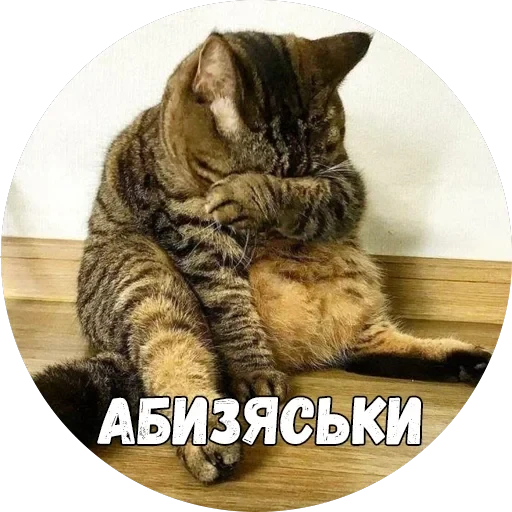 Байной? — 34