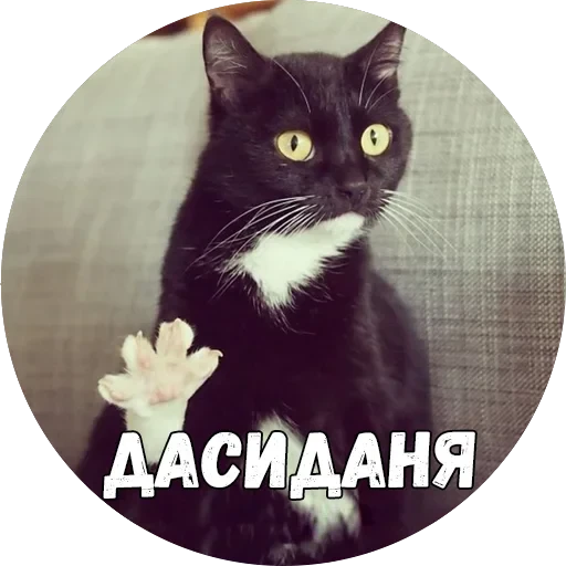 Байной? — 35