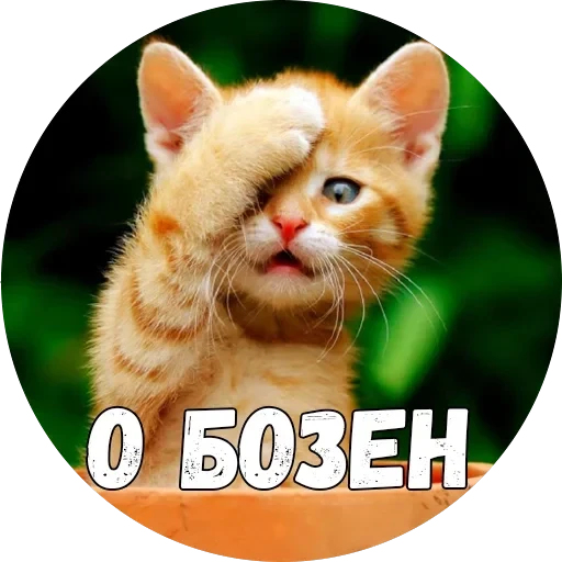 Байной? — 5