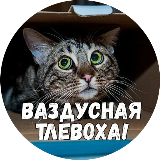 Байной? — 7