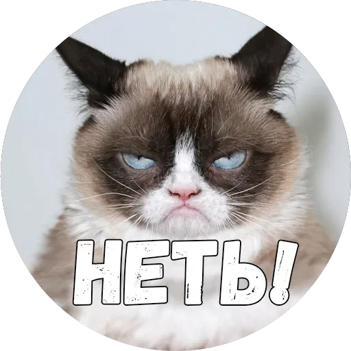 Байной? — 9