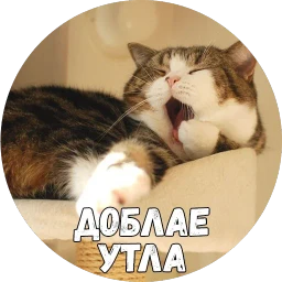 Байной?