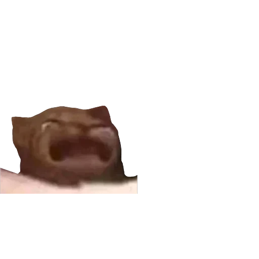 bbys — 45