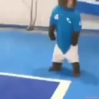 Бибизяны — 15