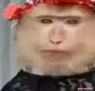 Бибизяны — 20