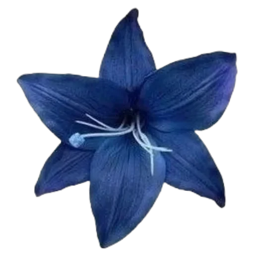 BLUE — 1
