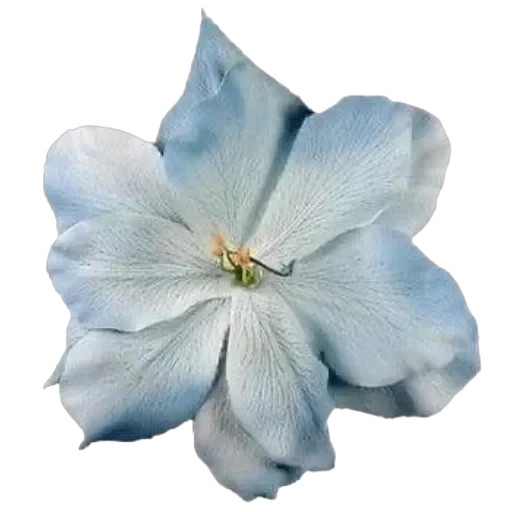 BLUE — 44