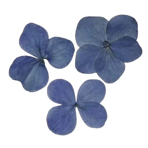 BLUE — 46